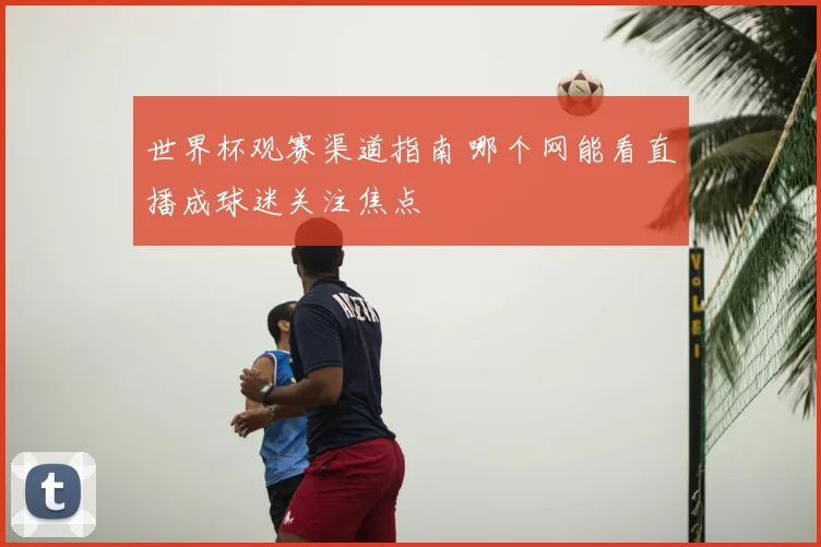 世界杯观赛渠道指南 哪个网能看直播成球迷关注焦点