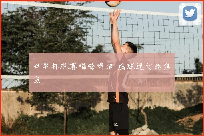 世界杯观赛喝啥啤酒 成球迷讨论焦点
