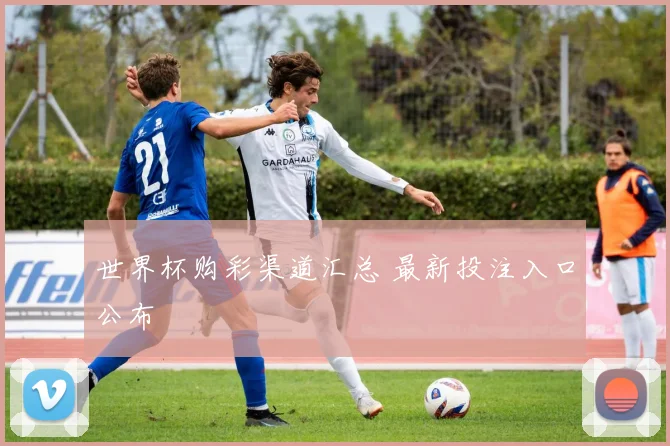 世界杯购彩渠道汇总 最新投注入口公布