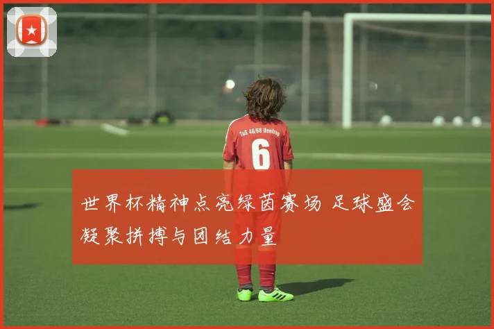 世界杯精神点亮绿茵赛场 足球盛会凝聚拼搏与团结力量