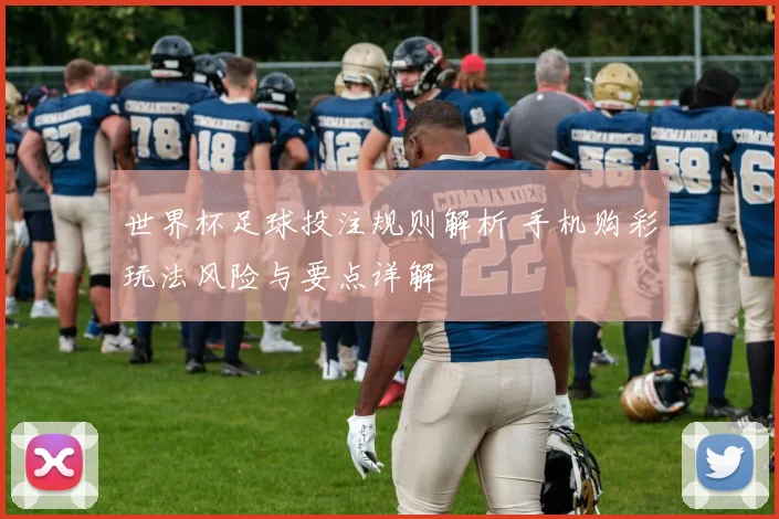 世界杯足球投注规则解析 手机购彩玩法风险与要点详解