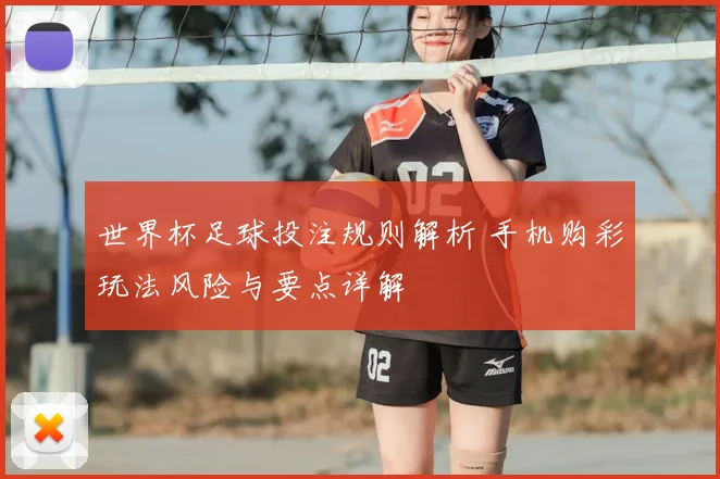 世界杯足球投注规则解析 手机购彩玩法风险与要点详解