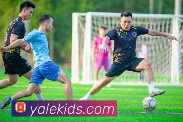 开云官方在线登陆入口发展历程